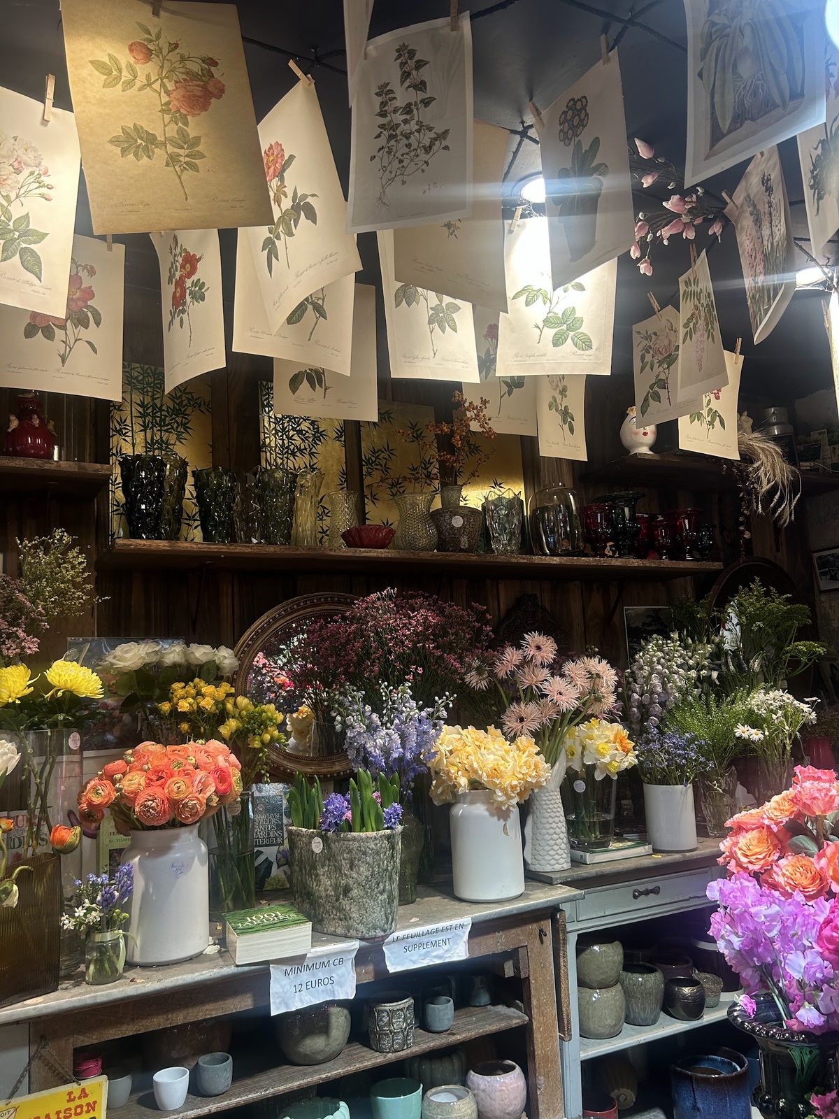 L’intérieur de la boutique : seaux de fleurs, vases et planches botaniques au plafond